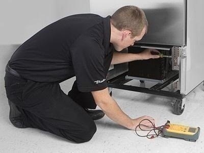 White Whale in Asyut